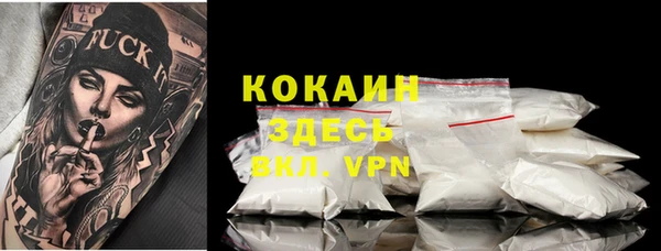 a pvp Ельня
