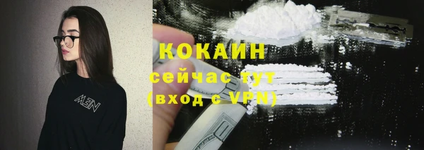 a pvp Ельня