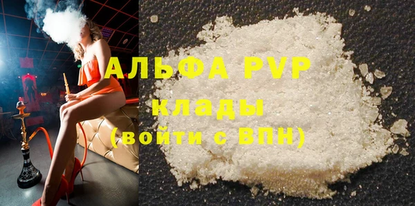 шишки Елизово