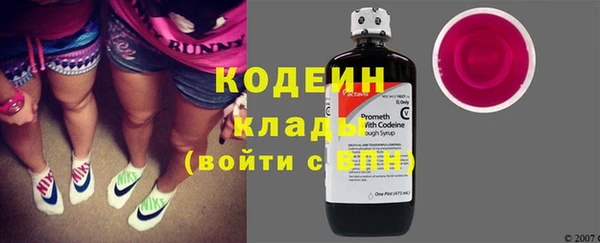 a pvp Ельня