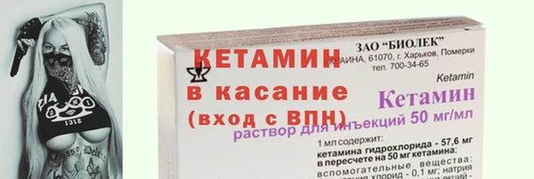 шишки Елизово