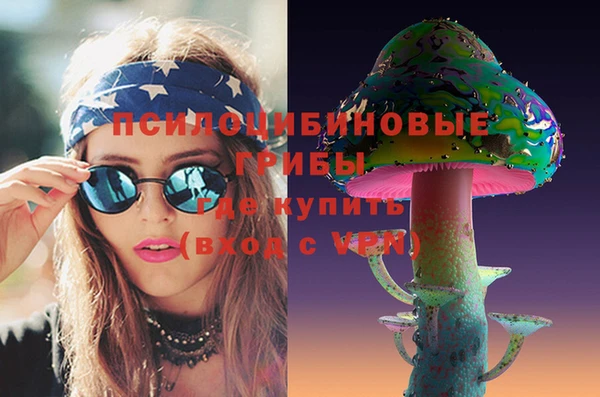 шишки Елизово