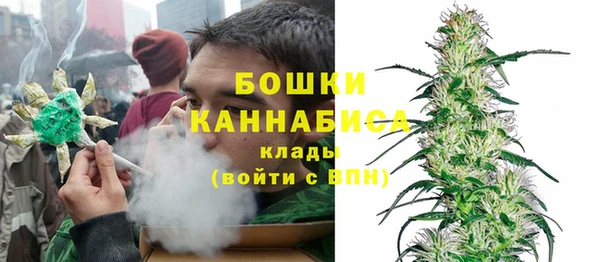 a pvp Ельня