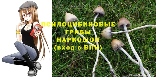 a pvp Ельня