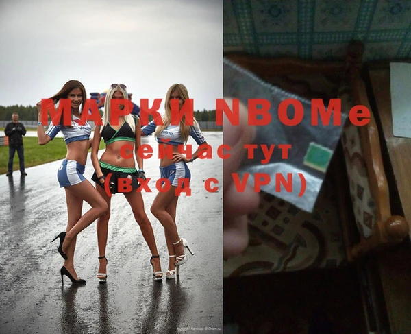 шишки Елизово