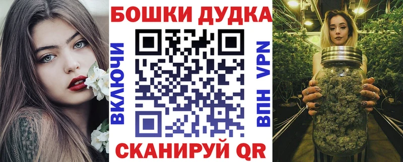 Бошки Шишки план  Жердевка 